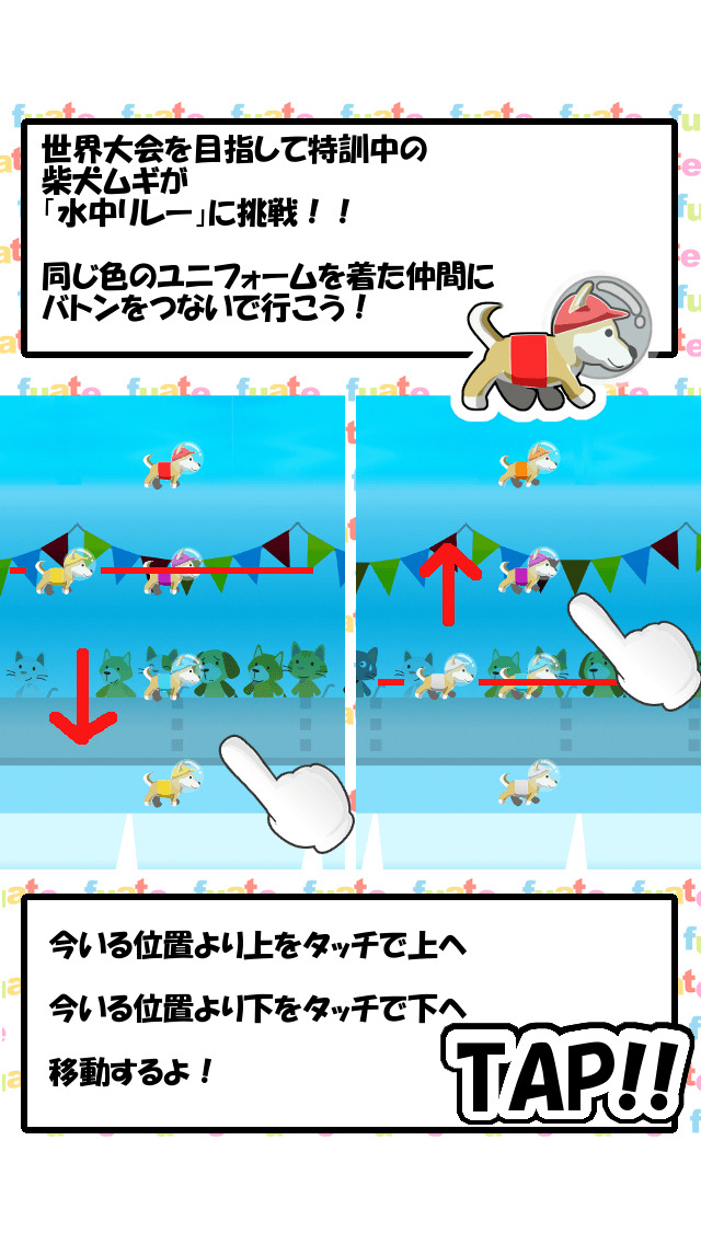 柴犬ムギ - 水中リレー世界大会への挑戦のスクリーンショット_3