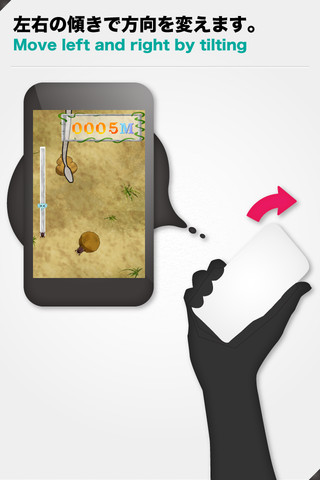 ふんころがしレースのスクリーンショット_4