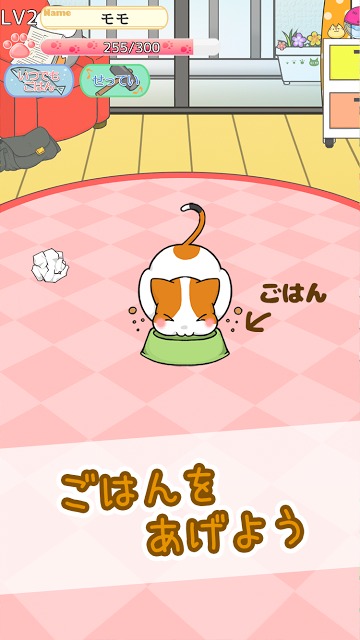 にゃんこぐらしのスクリーンショット_2