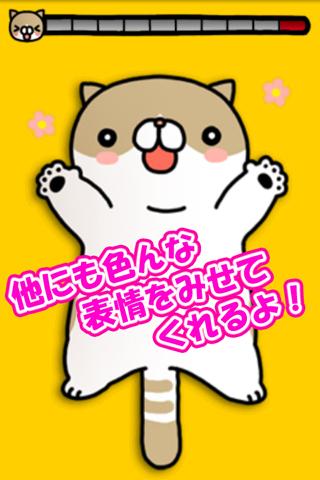 こちょねこのスクリーンショット_3