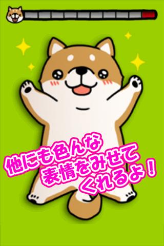 こちょ いぬのスクリーンショット_3