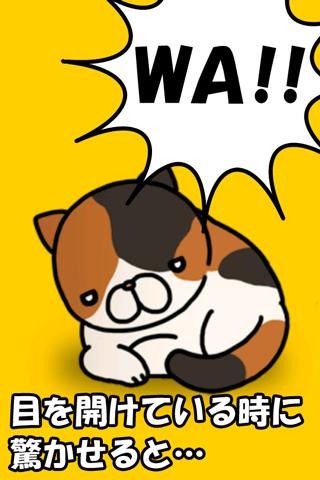 どっきりねこ〜かわいい猫アプリ〜のスクリーンショット_3