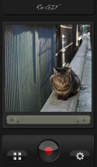 Re:GIFのスクリーンショット_1