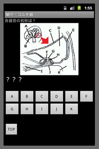 聴覚系を覚えよう！のスクリーンショット_2