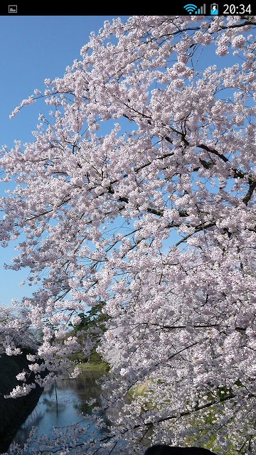 ShuffleLock （シャッフルロック）のスクリーンショット_4