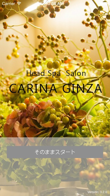 CARINA GINZAのスクリーンショット_1