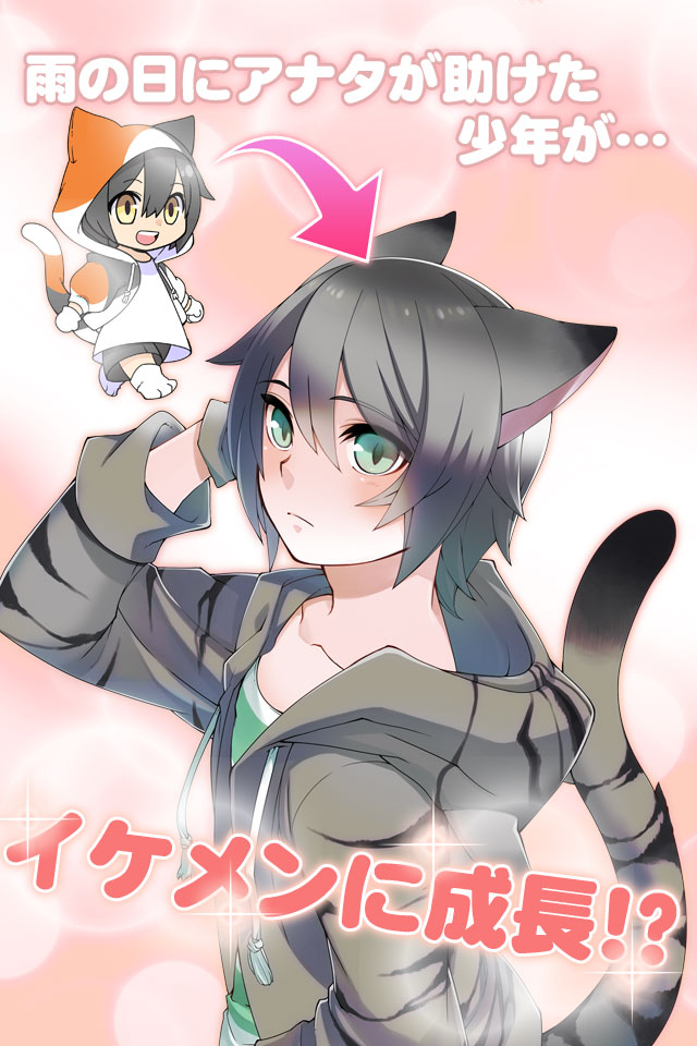 ねこのいるまにのスクリーンショット_1