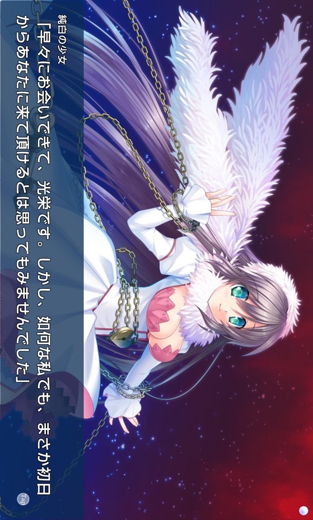 HOLY BREAKER!のスクリーンショット_1