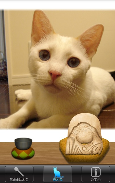 木魚（猫入り）のスクリーンショット_4