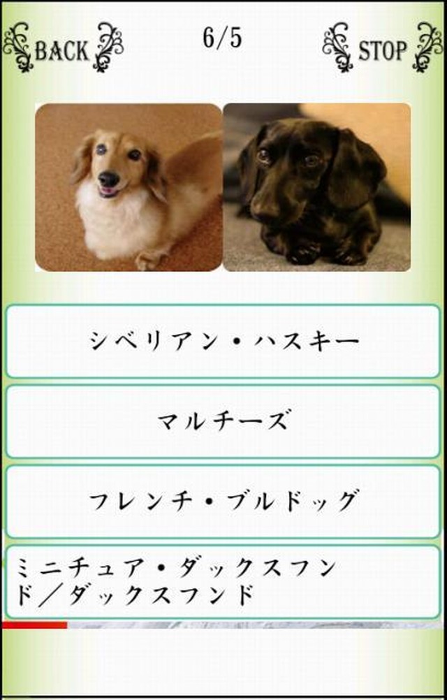 Names／わんにゃばー いろんな名前覚えよう（犬・猫・鳥）のスクリーンショット_3