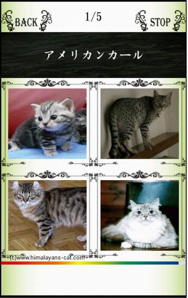 Names／わんにゃばー いろんな名前覚えよう（犬・猫・鳥）のスクリーンショット_4