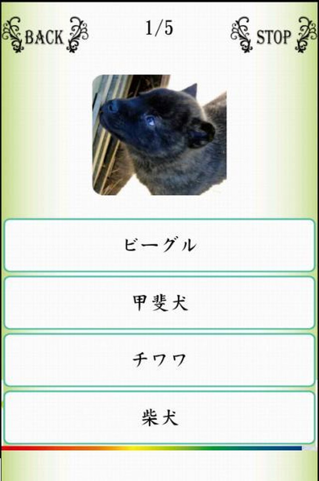 Names／わんにゃばー いろんな名前覚えよう（犬・猫・鳥）のスクリーンショット_5