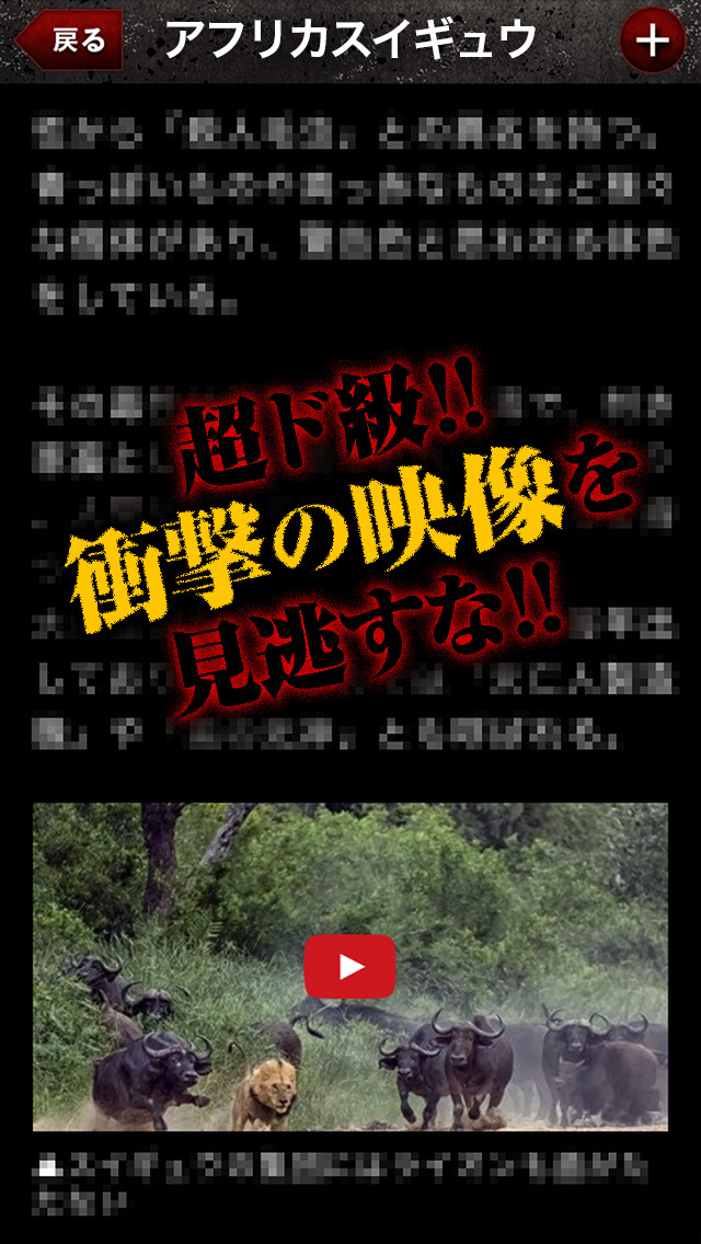 危険生物のスクリーンショット_4