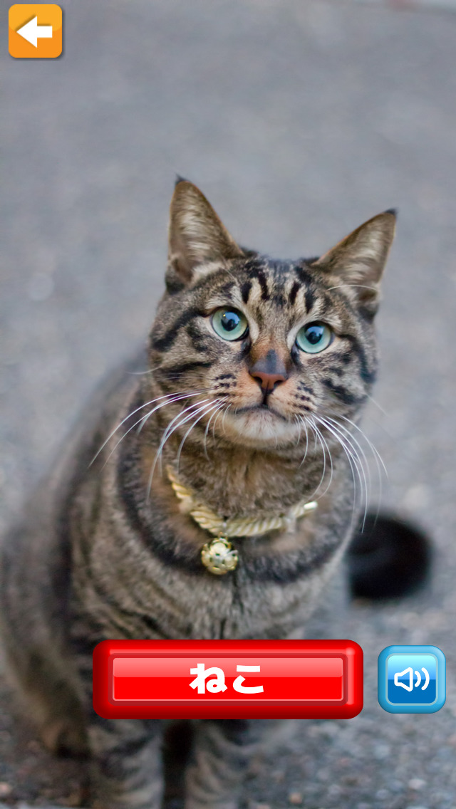 動物の鳴き声アプリ（楽器と乗り物付き）「なきごえのトライ」のスクリーンショット_2