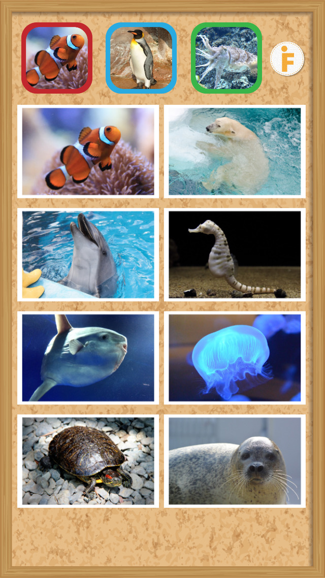 とびだす水族館のスクリーンショット_2