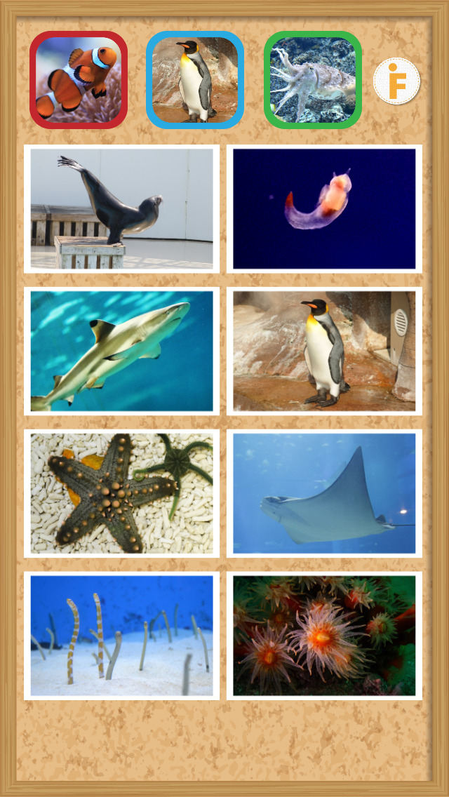 とびだす水族館のスクリーンショット_3