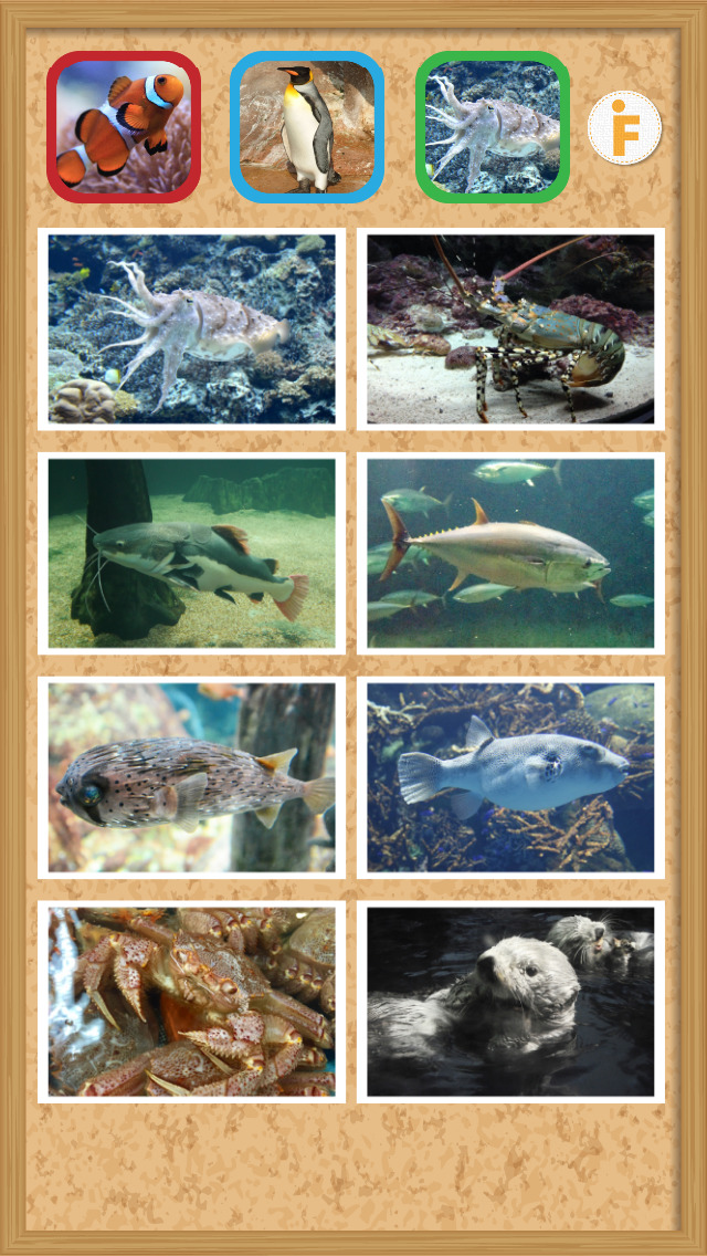 とびだす水族館のスクリーンショット_4