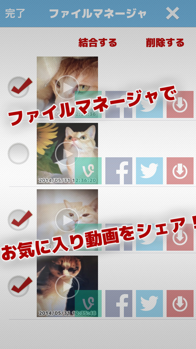 6.me - ロクミィ 6秒最速自撮りプロモーション動画作成アプリ！のスクリーンショット_5