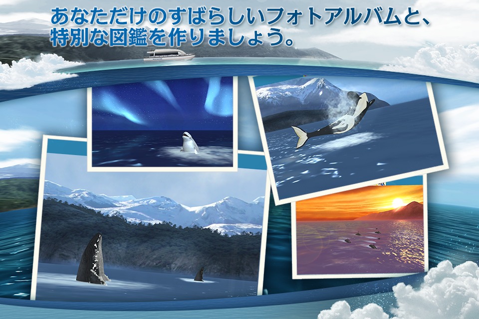 リアルホエール　くじらをさがそう！のスクリーンショット_5