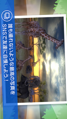リアルサファリ - 動物をさがそうのスクリーンショット_5