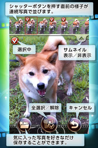 過去カメラ パストカメラのスクリーンショット_3