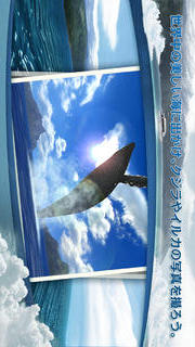 リアルホエール　くじらをさがそう！のスクリーンショット_1