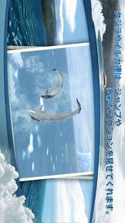 リアルホエール　くじらをさがそう！のスクリーンショット_2