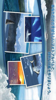 リアルホエール　くじらをさがそう！のスクリーンショット_5