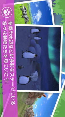 リアルサファリ 動物をさがそうのスクリーンショット_3