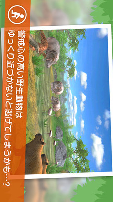 リアルサファリ 動物をさがそうのスクリーンショット_4