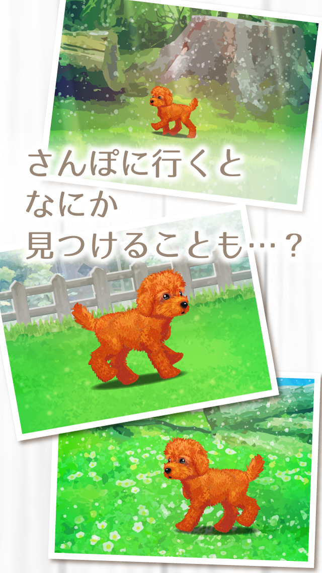 癒しの子犬育成ゲーム〜トイプードル編〜（無料）のスクリーンショット_3