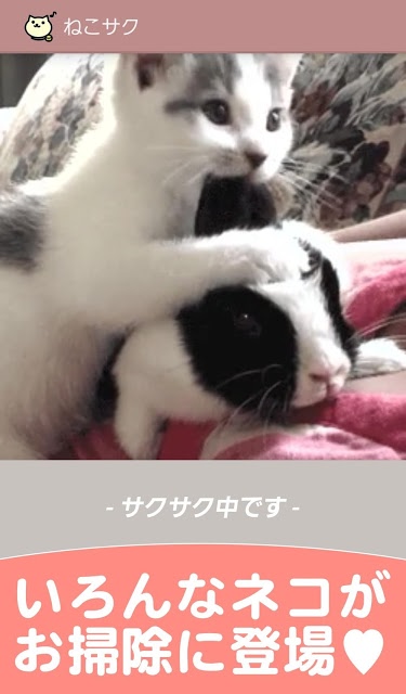 電池長持ち！動作サクサク！猫のメモリ解放アプリ【ねこサク】のスクリーンショット_2