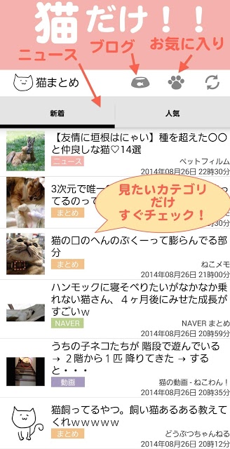 猫まとめ - 猫だらけのねこ情報まとめアプリのスクリーンショット_1