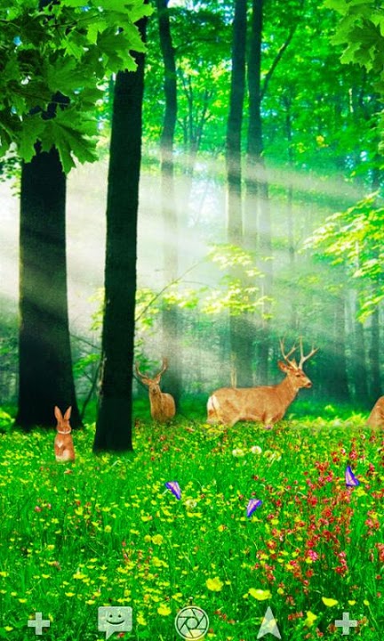 LOST IN THE FOREST ライブ壁紙 Freeのスクリーンショット_1