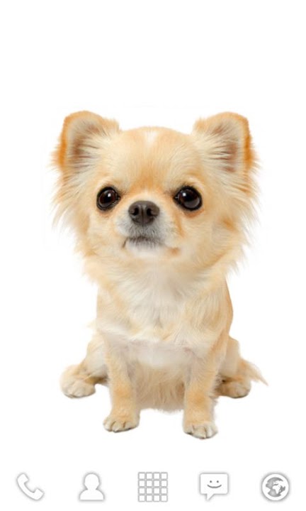 Bobbleheads ライブ壁紙のスクリーンショット_1