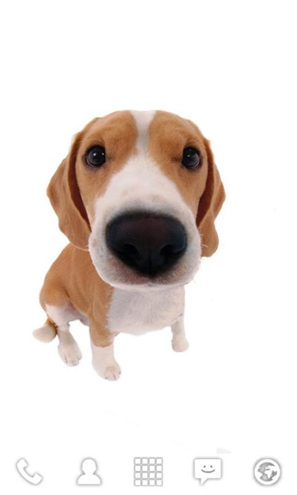 Bobbleheads ライブ壁紙のスクリーンショット_2