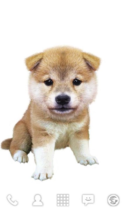 Bobbleheads ライブ壁紙のスクリーンショット_3