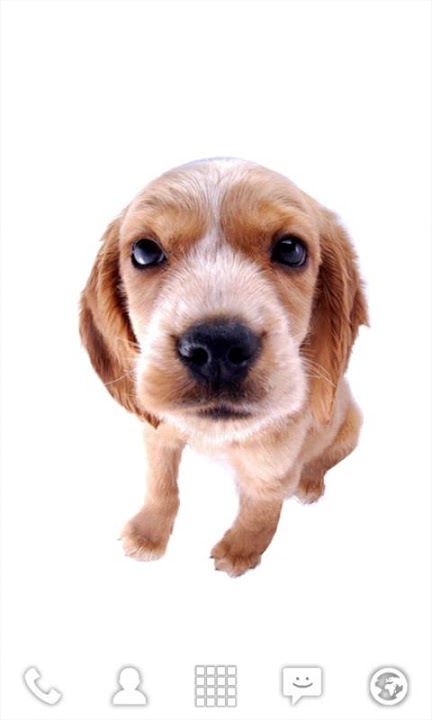 Bobbleheads ライブ壁紙のスクリーンショット_4