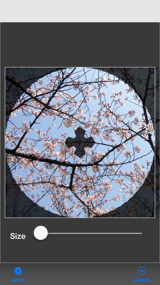 和傘のスクリーンショット_3