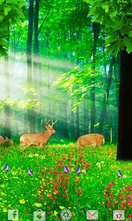 LOST IN THE FOREST ライブ壁紙のスクリーンショット_2