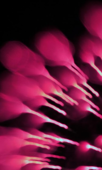 Filter Work ライブ壁紙 Freeのスクリーンショット_5