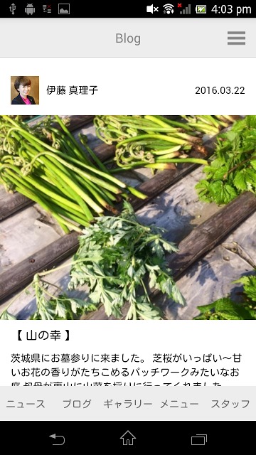 MARIKO ITOのスクリーンショット_2