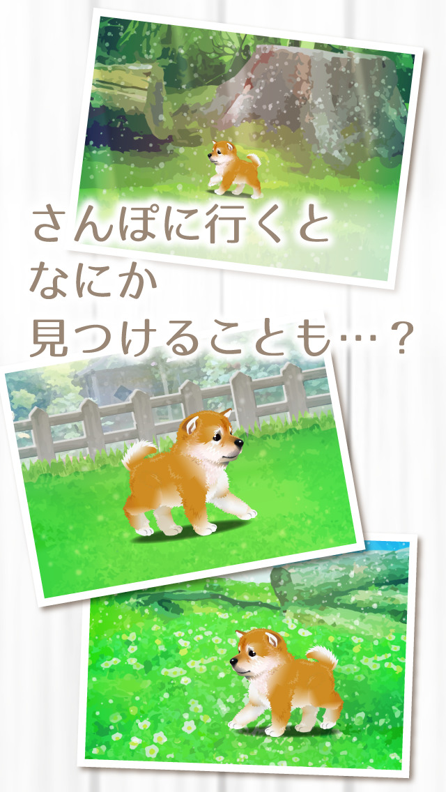 癒しの子犬育成ゲーム〜柴犬編〜（無料）のスクリーンショット_4