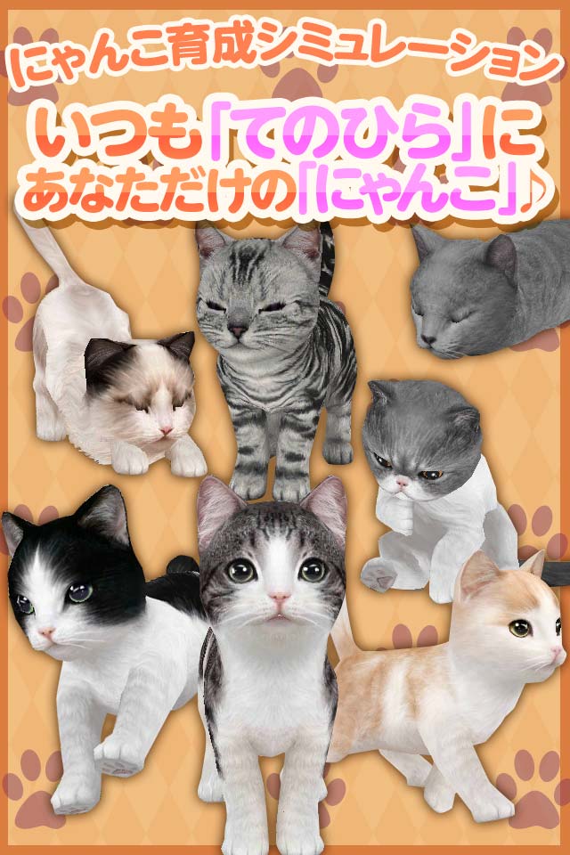 てのひらニャンコのスクリーンショット_1