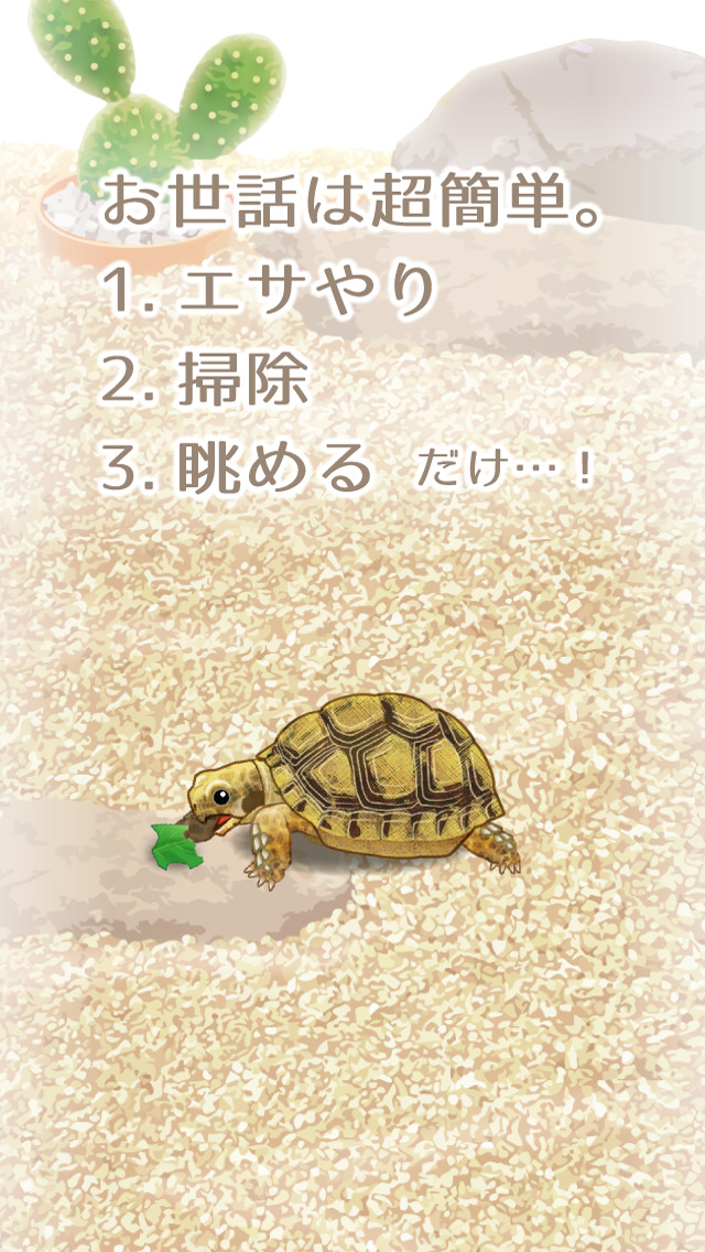 癒しのカメ育成ゲーム（無料）のスクリーンショット_2