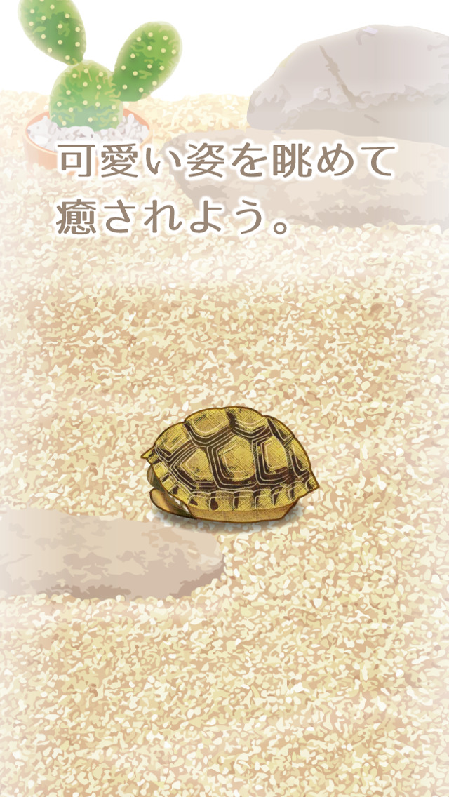 癒しのカメ育成ゲーム（無料）のスクリーンショット_3