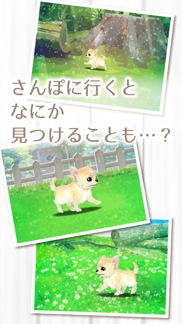 癒しの子犬育成ゲーム〜チワワ編〜（無料）のスクリーンショット_4