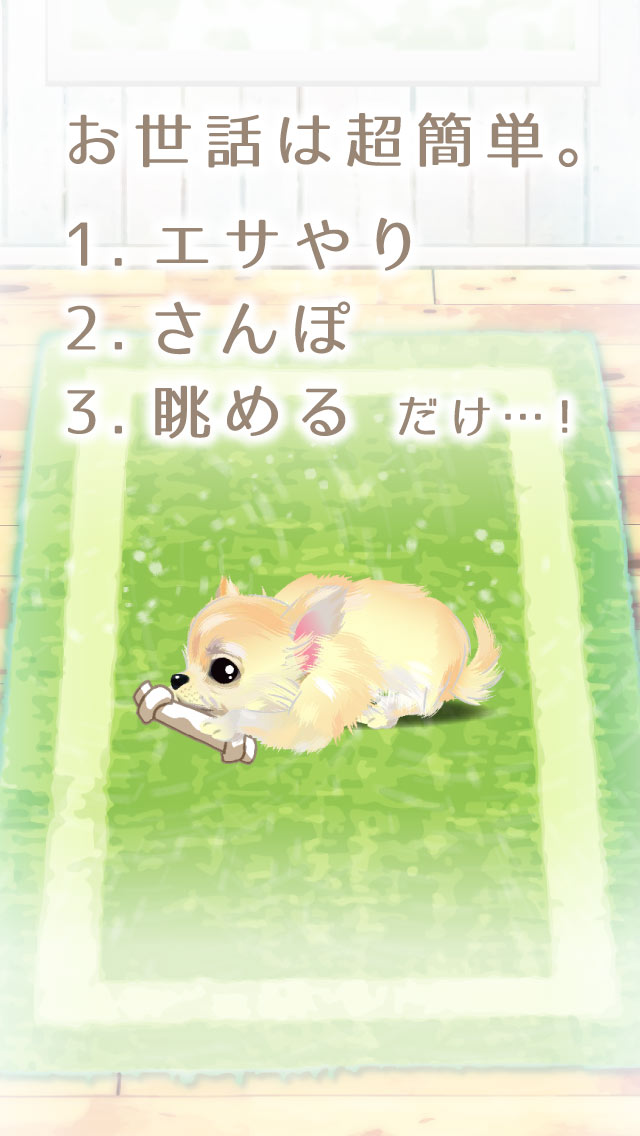 癒しの子犬育成ゲーム〜チワワ編〜のスクリーンショット_2