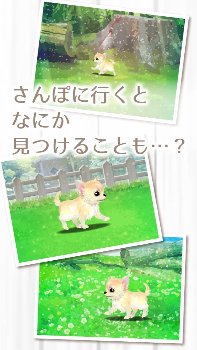 癒しの子犬育成ゲーム〜チワワ編〜のスクリーンショット_4
