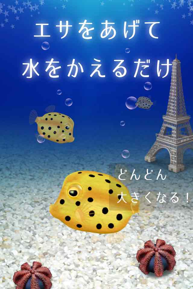 水槽が作れる！ハコフグ育成のスクリーンショット_2